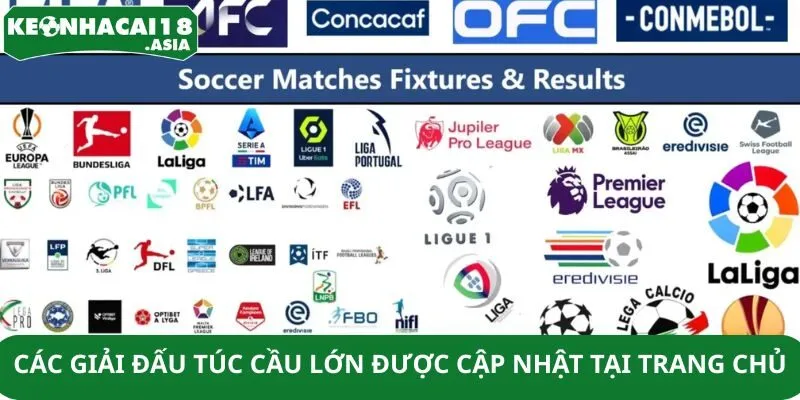 Các giải đấu túc cầu lớn được cập nhật tại trang chủ