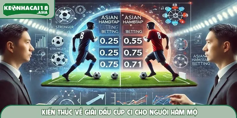Kiến thức về giải đấu cúp C1 cho người hâm mộ